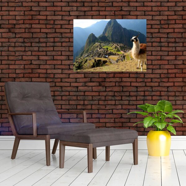 Slika - Lama i Machu Picchu (70x50 cm)