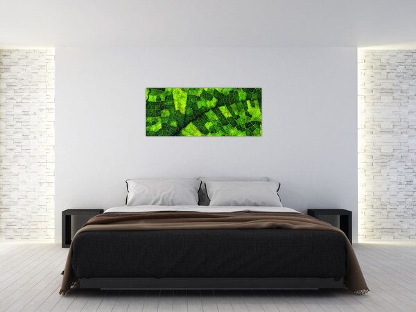 Slika - Detalj lista (120x50 cm)