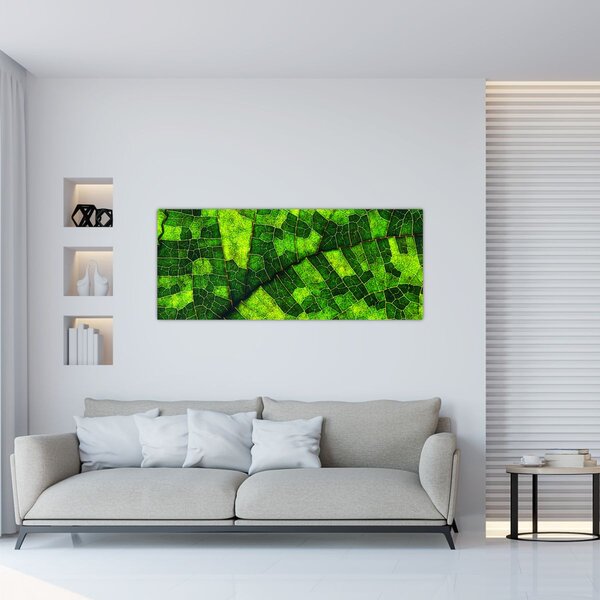 Slika - Detalj lista (120x50 cm)