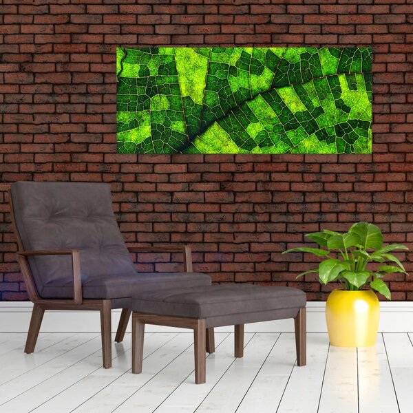 Slika - Detalj lista (120x50 cm)