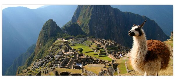 Slika - Lama i Machu Picchu (120x50 cm)