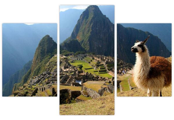 Slika - Lama i Machu Picchu (90x60 cm)