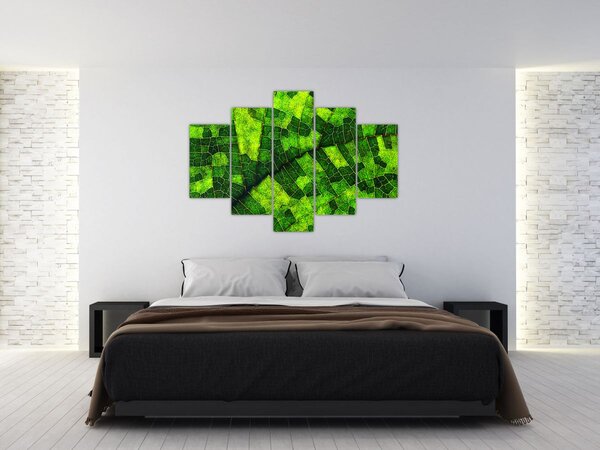 Slika - Detalj lista (150x105 cm)