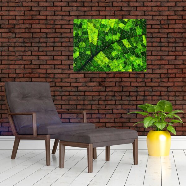 Slika - Detalj lista (70x50 cm)