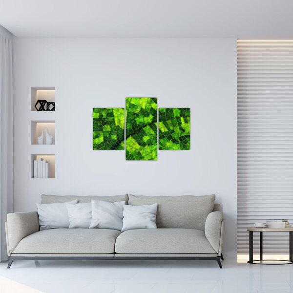 Slika - Detalj lista (90x60 cm)