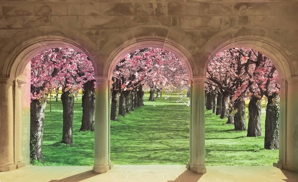 Foto tapeta - Cvjetni krajolik (152,5x104 cm)