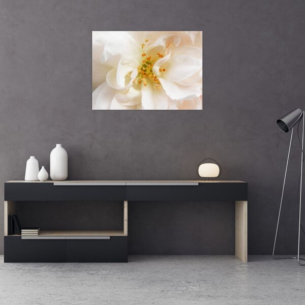 Slika - Cvijet (70x50 cm)