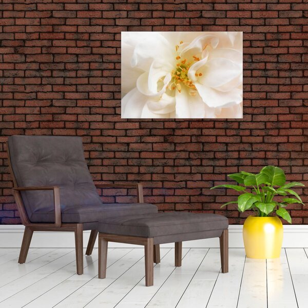 Slika - Cvijet (70x50 cm)