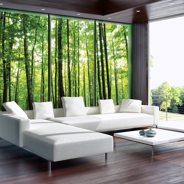 Foto tapeta - Šuma (152,5x104 cm)