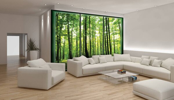 Foto tapeta - Šuma (152,5x104 cm)