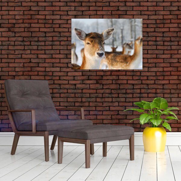 Slika -Bambi (70x50 cm)