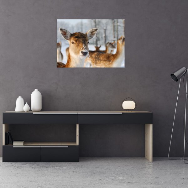 Slika -Bambi (70x50 cm)