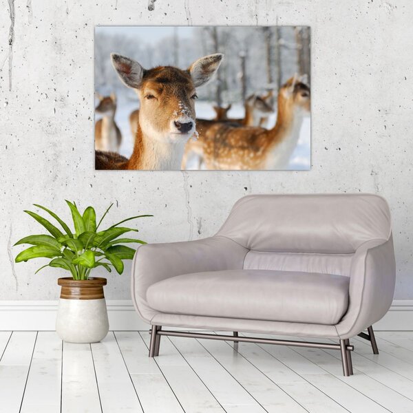 Slika -Bambi (90x60 cm)