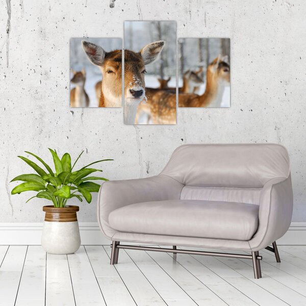 Slika -Bambi (90x60 cm)