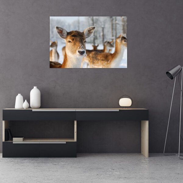 Slika -Bambi (90x60 cm)