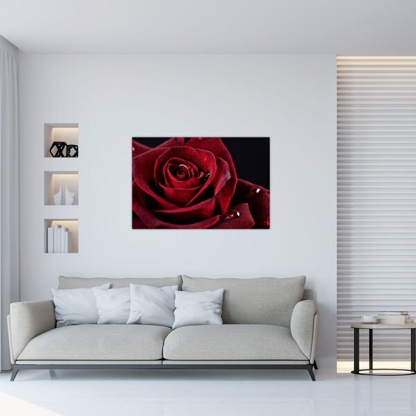 Slika - Crvena ruža (90x60 cm)