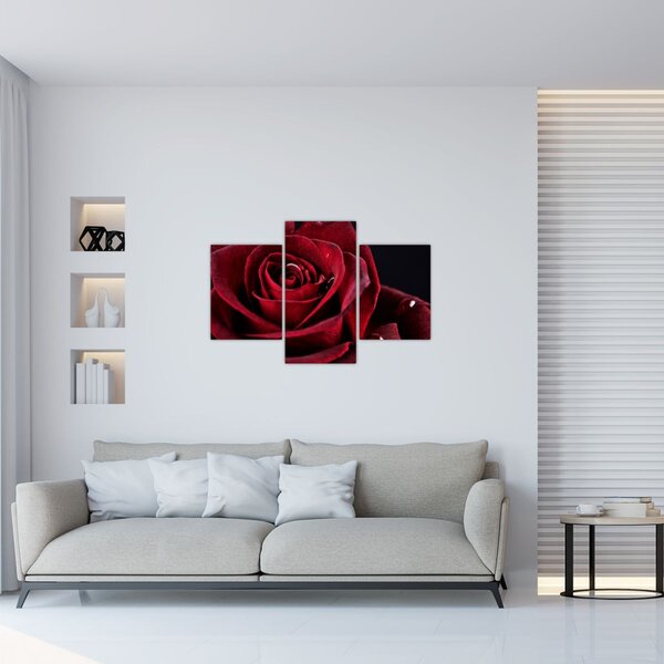 Slika - Crvena ruža (90x60 cm)
