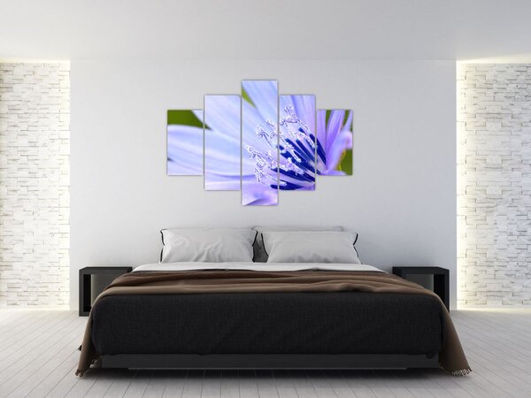 Slika - cvijet (150x105 cm)