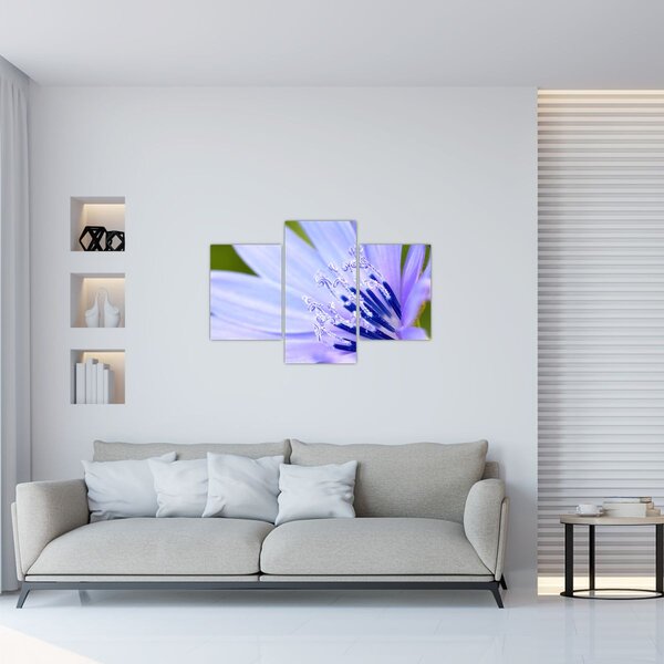 Slika - cvijet (90x60 cm)