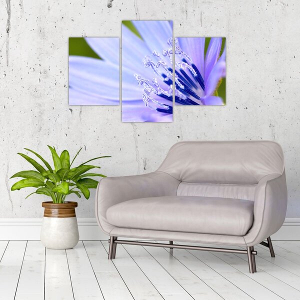 Slika - cvijet (90x60 cm)