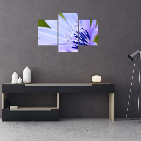 Slika - cvijet (90x60 cm)