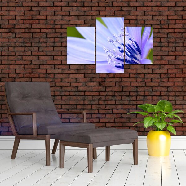 Slika - cvijet (90x60 cm)