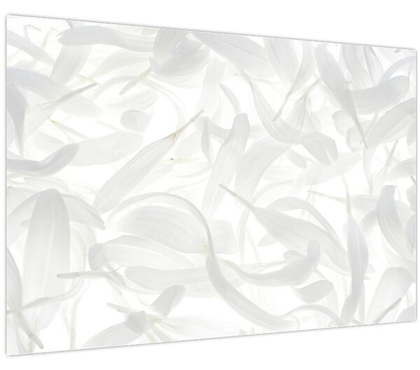 Slika - Latice cvijeta (90x60 cm)