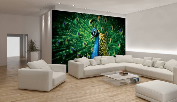 Foto tapeta - Paun (152,5x104 cm)