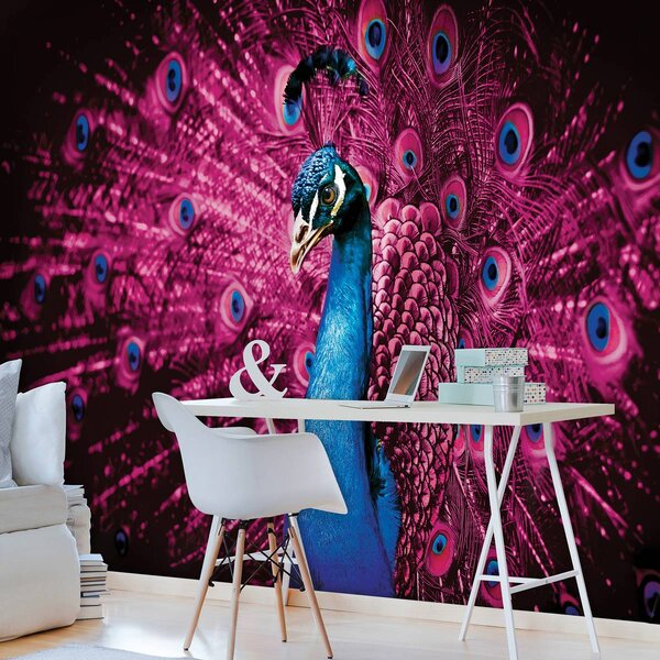 Foto tapeta - Paun s ružičastim perjem (152,5x104 cm)