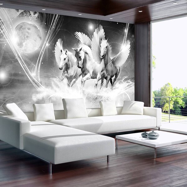 Foto tapeta - Konji - ukras sobe djevojčice (152,5x104 cm)
