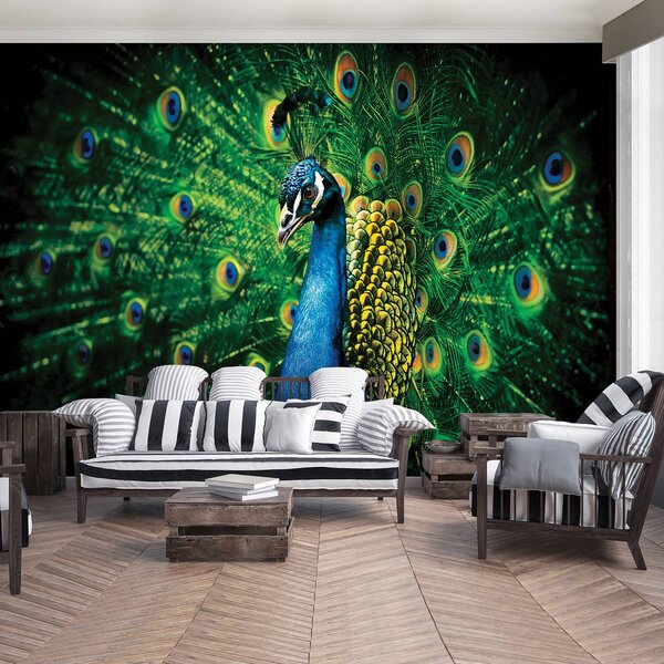Foto tapeta - Paun (152,5x104 cm)