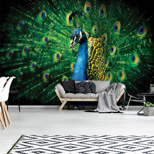 Foto tapeta - Paun (152,5x104 cm)