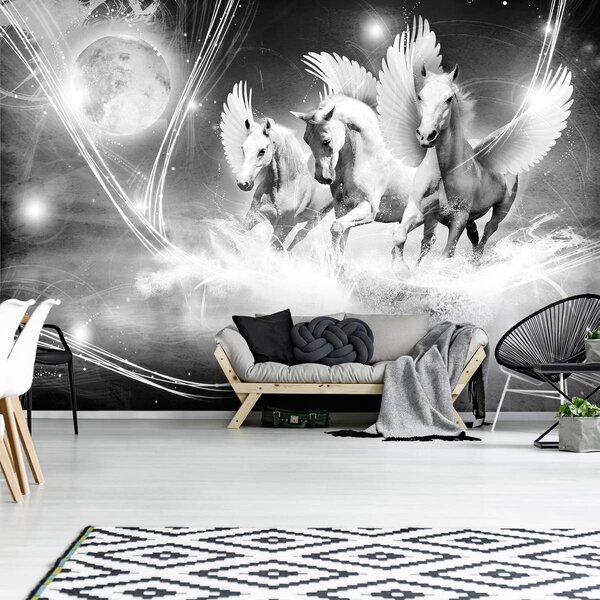 Foto tapeta - Konji - ukras sobe djevojčice (152,5x104 cm)