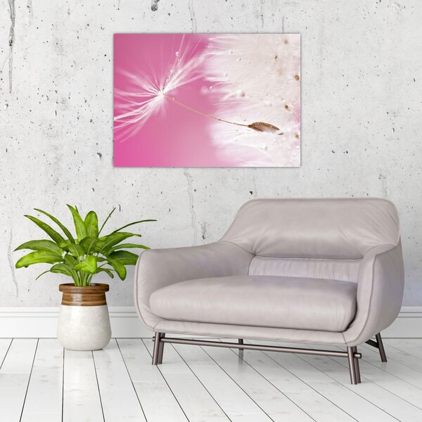 Slika - Makro cvijet (70x50 cm)