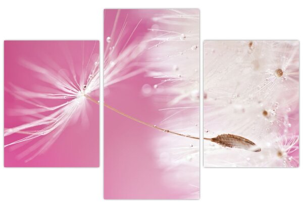 Slika - Makro cvijet (90x60 cm)