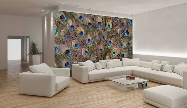 Foto tapeta - Paun (152,5x104 cm)