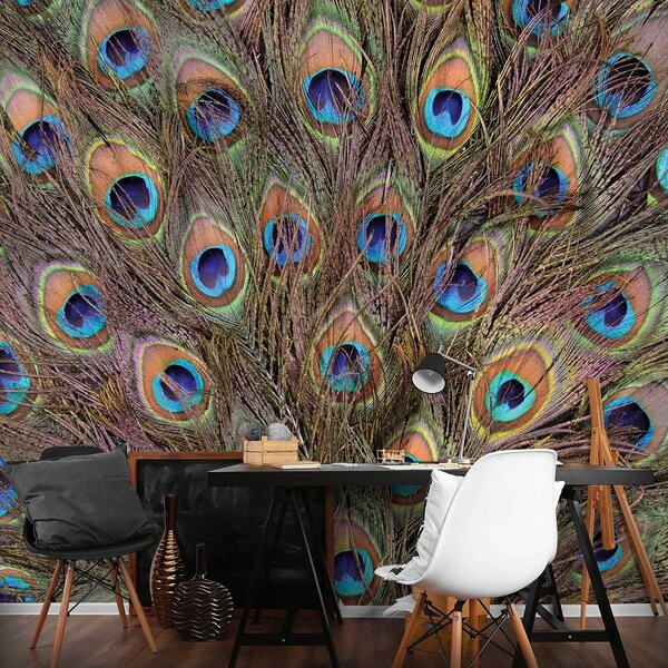 Foto tapeta - Paun (152,5x104 cm)