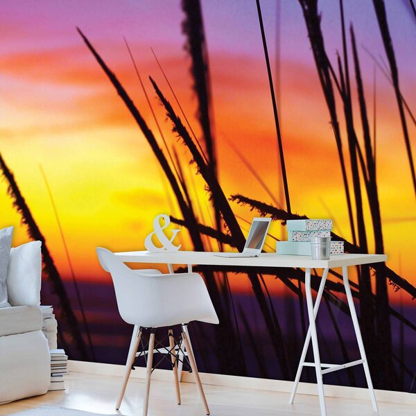 Foto tapeta - Trava na plaži (152,5x104 cm)