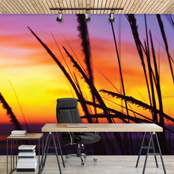 Foto tapeta - Trava na plaži (152,5x104 cm)