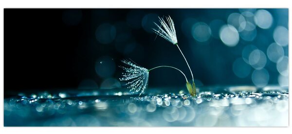 Slika - Makro (120x50 cm)