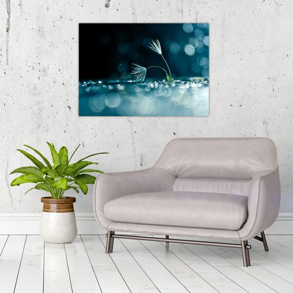 Slika - Makro (70x50 cm)