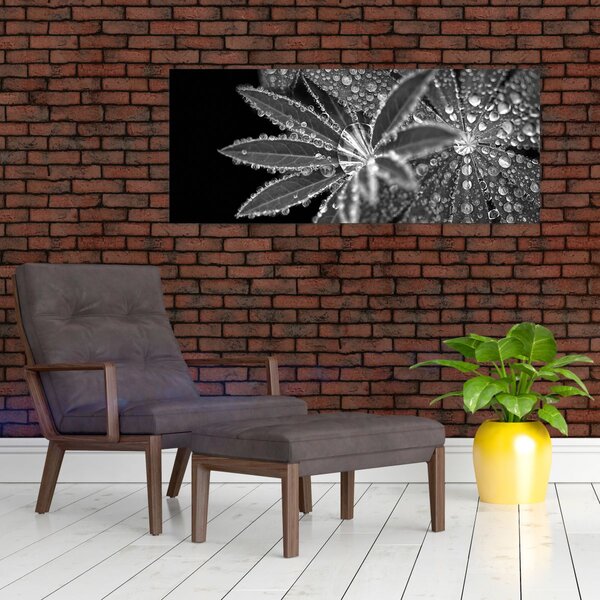Slika - Kapi (120x50 cm)