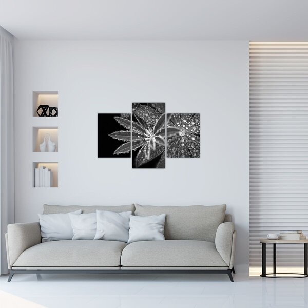 Slika - Kapi (90x60 cm)