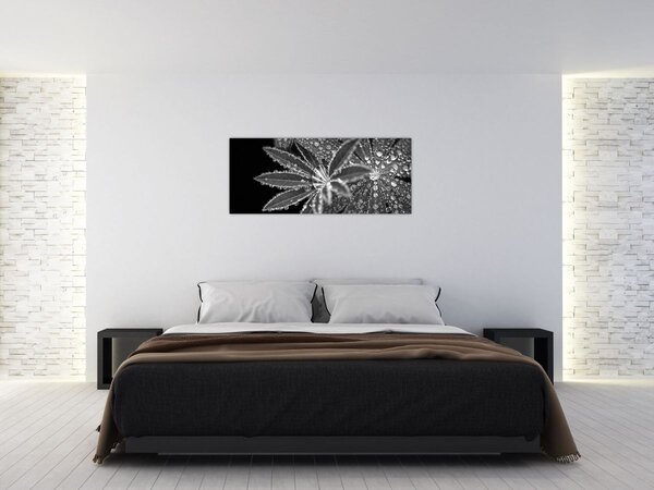 Slika - Kapi (120x50 cm)