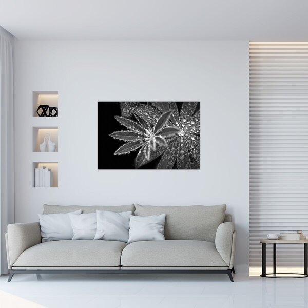 Slika - Kapi (90x60 cm)