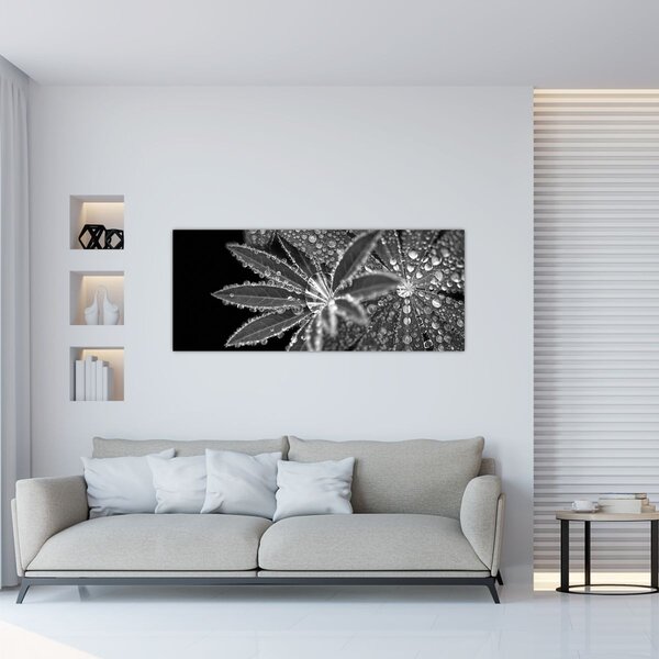 Slika - Kapi (120x50 cm)