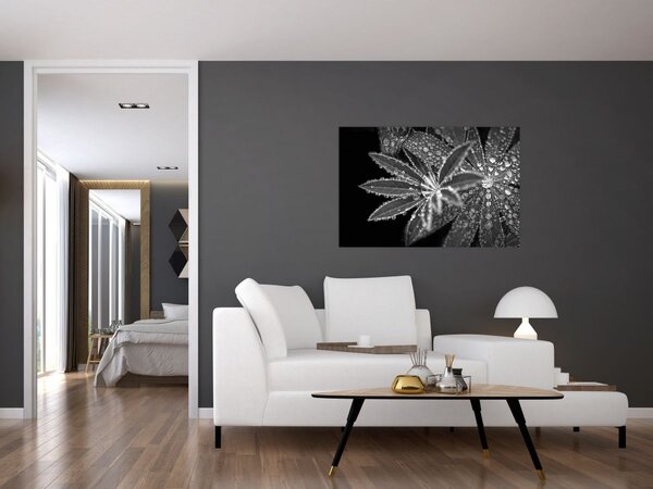 Slika - Kapi (90x60 cm)