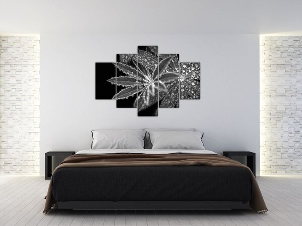 Slika - Kapi (150x105 cm)