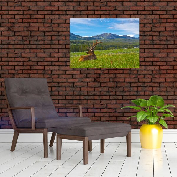 Slika - Jelen na livadi (70x50 cm)