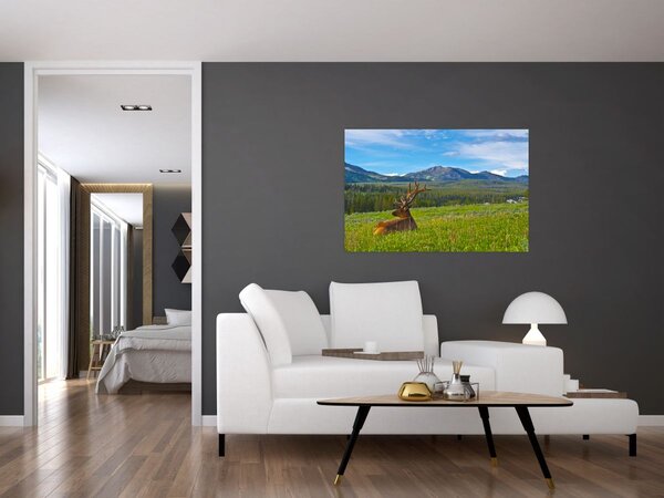 Slika - Jelen na livadi (90x60 cm)